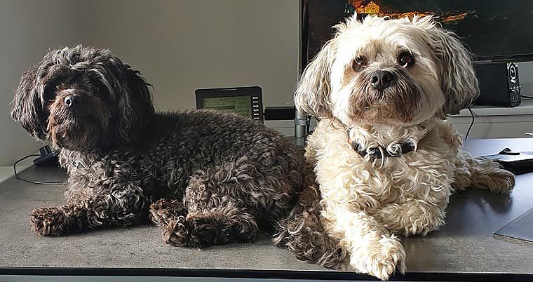 Kanzlei Vielberg in Ense | Steuerberaterin Christiane Kickartz